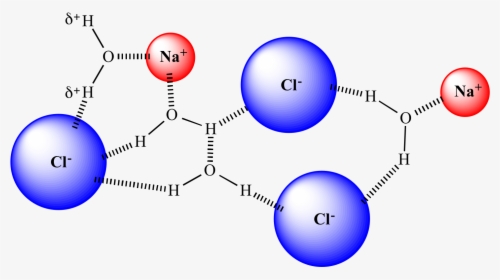 "  Src="solvation05 - Solvation Of Nacl In Water, HD Png Download, Free Download